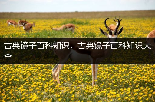 古典镜子百科知识，古典镜子百科知识大全