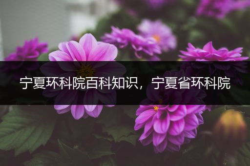 宁夏环科院百科知识，宁夏省环科院