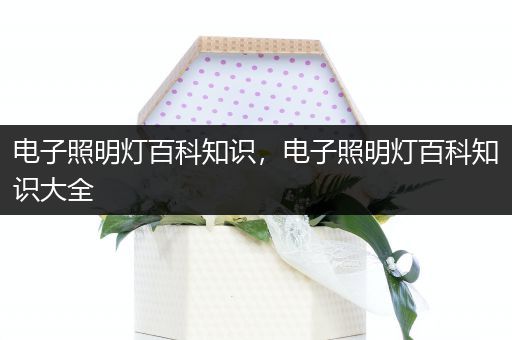 电子照明灯百科知识，电子照明灯百科知识大全