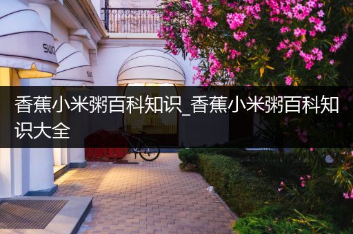 香蕉小米粥百科知识_香蕉小米粥百科知识大全