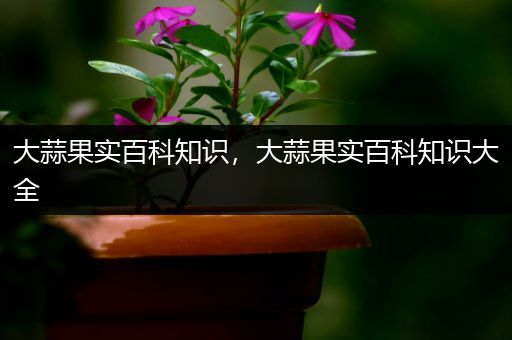 大蒜果实百科知识，大蒜果实百科知识大全
