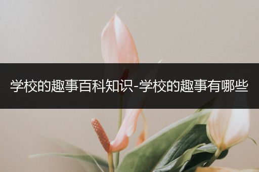 学校的趣事百科知识-学校的趣事有哪些