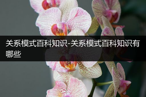 关系模式百科知识-关系模式百科知识有哪些