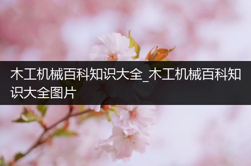 木工机械百科知识大全_木工机械百科知识大全图片
