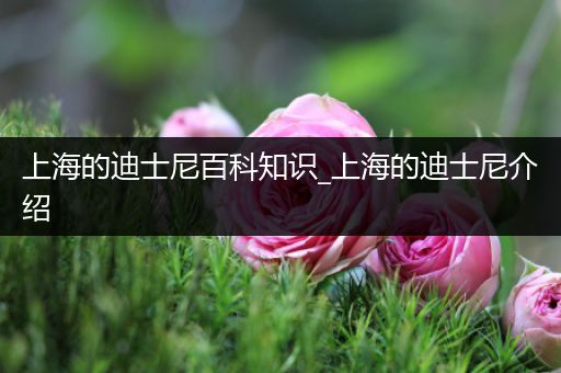 上海的迪士尼百科知识_上海的迪士尼介绍