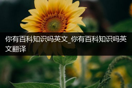你有百科知识吗英文_你有百科知识吗英文翻译
