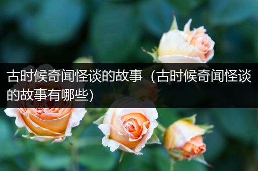 古时候奇闻怪谈的故事（古时候奇闻怪谈的故事有哪些）