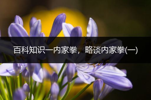 百科知识一内家拳，略谈内家拳(一)