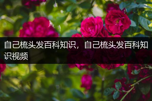 自己梳头发百科知识，自己梳头发百科知识视频