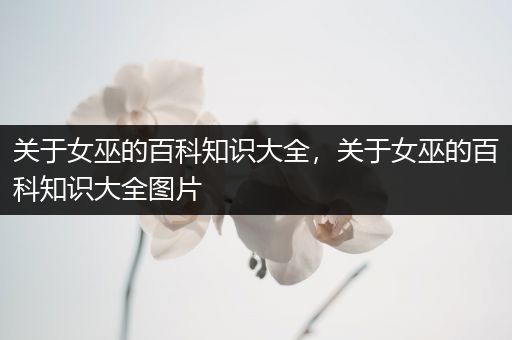 关于女巫的百科知识大全，关于女巫的百科知识大全图片