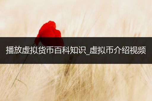 播放虚拟货币百科知识_虚拟币介绍视频