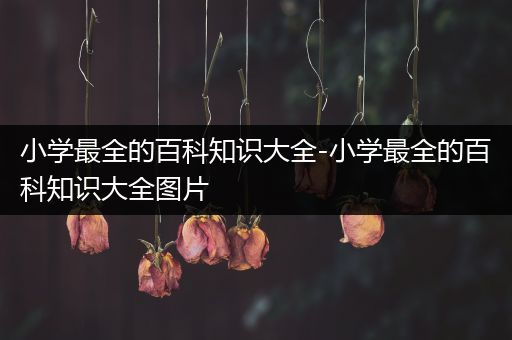 小学最全的百科知识大全-小学最全的百科知识大全图片