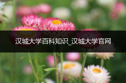 汉城大学百科知识_汉城大学官网