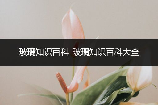 玻璃知识百科_玻璃知识百科大全