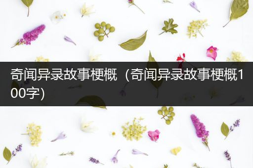 奇闻异录故事梗概（奇闻异录故事梗概100字）