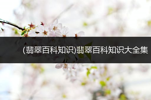 （翡翠百科知识)翡翠百科知识大全集