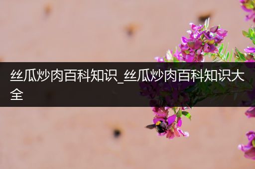 丝瓜炒肉百科知识_丝瓜炒肉百科知识大全