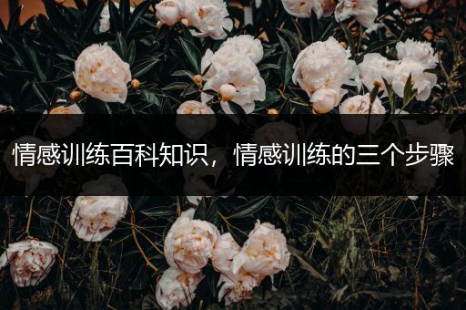 情感训练百科知识，情感训练的三个步骤