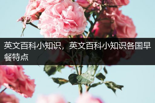 英文百科小知识，英文百科小知识各国早餐特点