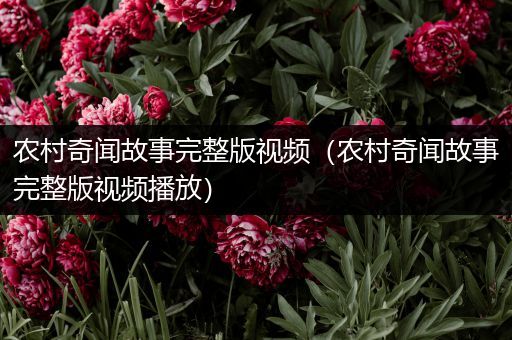 农村奇闻故事完整版视频（农村奇闻故事完整版视频播放）