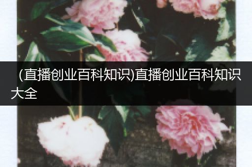 （直播创业百科知识)直播创业百科知识大全
