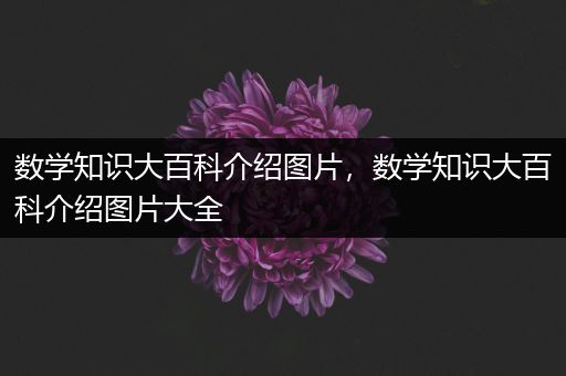 数学知识大百科介绍图片，数学知识大百科介绍图片大全