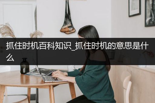 抓住时机百科知识_抓住时机的意思是什么