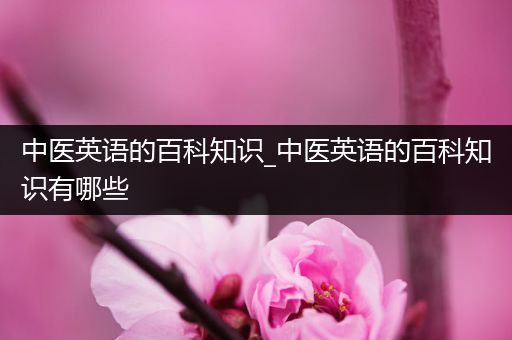 中医英语的百科知识_中医英语的百科知识有哪些