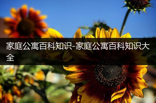 家庭公寓百科知识-家庭公寓百科知识大全