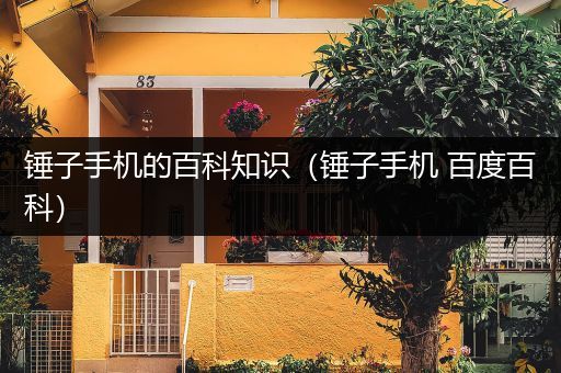 锤子手机的百科知识（锤子手机 百度百科）