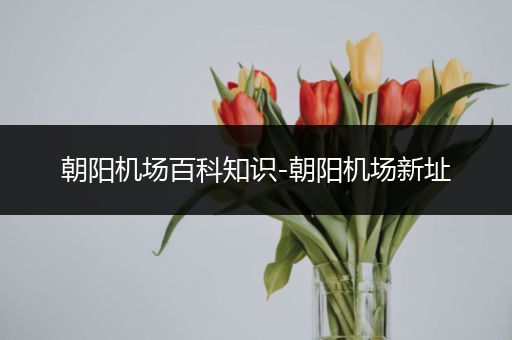 朝阳机场百科知识-朝阳机场新址