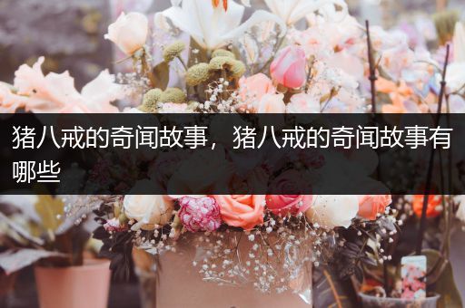 猪八戒的奇闻故事，猪八戒的奇闻故事有哪些
