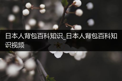 日本人背包百科知识_日本人背包百科知识视频