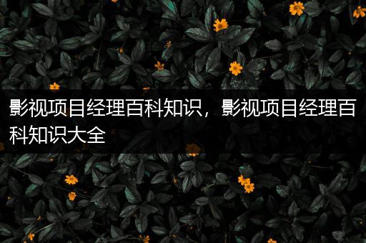 影视项目经理百科知识，影视项目经理百科知识大全