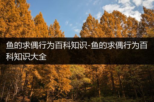 鱼的求偶行为百科知识-鱼的求偶行为百科知识大全