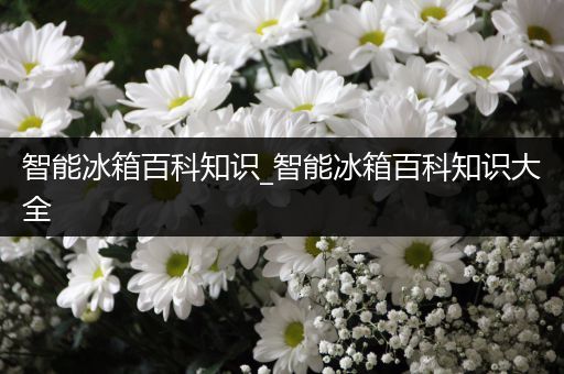 智能冰箱百科知识_智能冰箱百科知识大全