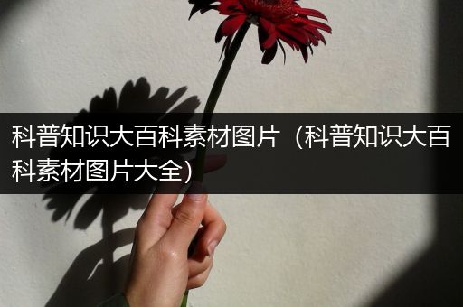 科普知识大百科素材图片（科普知识大百科素材图片大全）