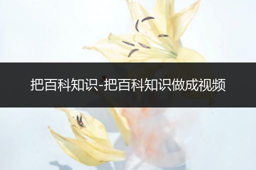 把百科知识-把百科知识做成视频