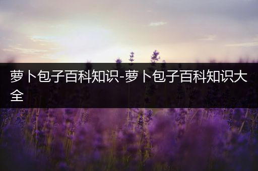 萝卜包子百科知识-萝卜包子百科知识大全