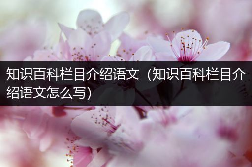 知识百科栏目介绍语文（知识百科栏目介绍语文怎么写）