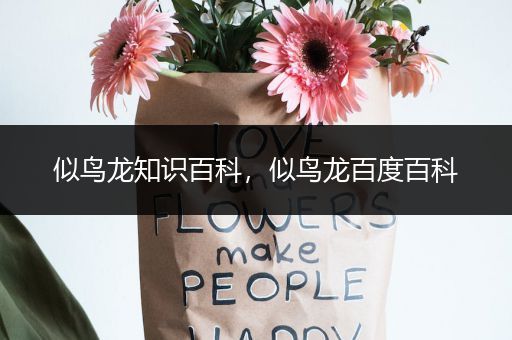 似鸟龙知识百科，似鸟龙百度百科