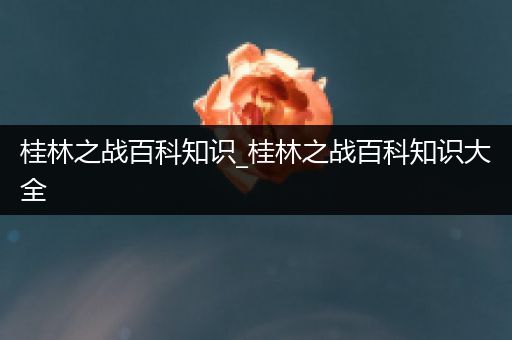 桂林之战百科知识_桂林之战百科知识大全