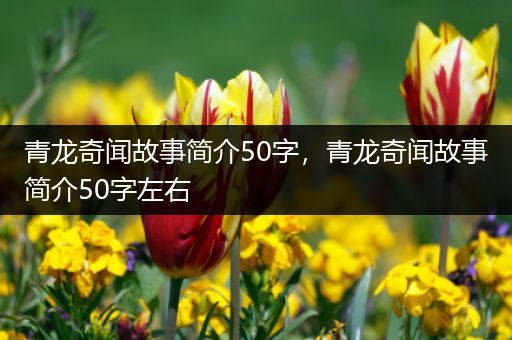 青龙奇闻故事简介50字，青龙奇闻故事简介50字左右