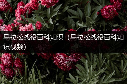 马拉松战役百科知识（马拉松战役百科知识视频）
