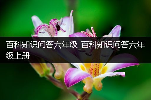 百科知识问答六年级_百科知识问答六年级上册