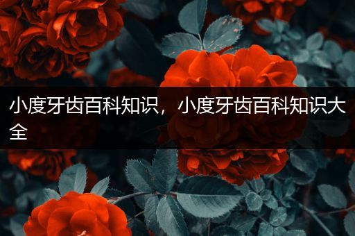 小度牙齿百科知识，小度牙齿百科知识大全