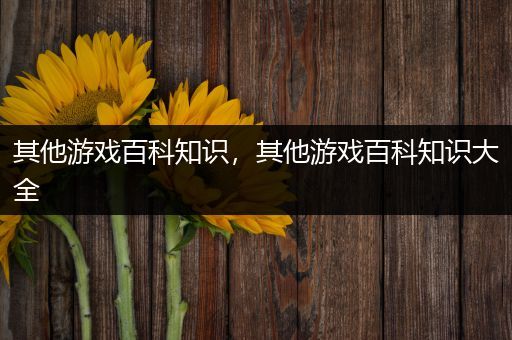 其他游戏百科知识，其他游戏百科知识大全
