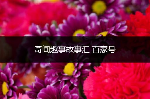 奇闻趣事故事汇 百家号