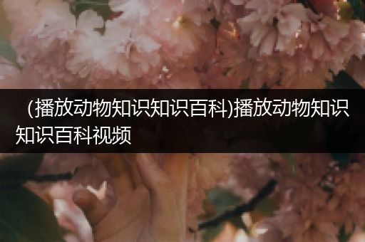 （播放动物知识知识百科)播放动物知识知识百科视频