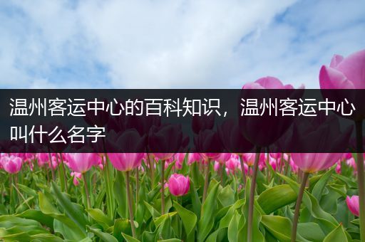 温州客运中心的百科知识，温州客运中心叫什么名字